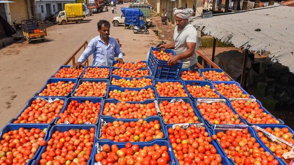 कब मिलेगी टमाटर सहित महंगी सब्जियों से राहत? RBI गवर्नर ने दिया जवाब