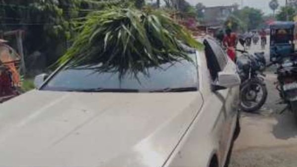 बस इतना अमीर होना है! BMW में मवेशियों का चारा ले जाता दिखा शख्स, दांतों तले उंगली दबाने लगे लोग