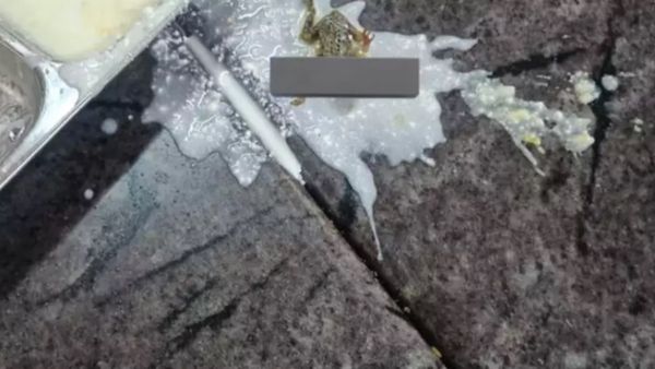 ओडिशा के मशहूर कॉलेज के खाने में मिला मरा हुआ मेंढक, ट्विटर पर यूजर ने खोली मेस की पोल