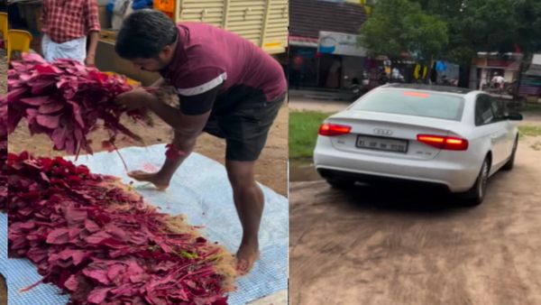 44 लाख की ऑडी A4 में आया किसान और फिर बेचने लगा पालक, 70 लाख लोगों ने देखा VIDEO