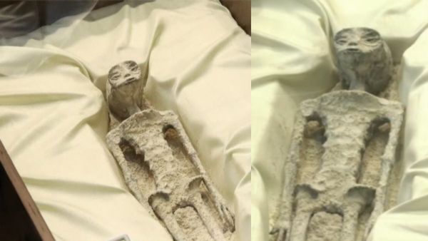 मैक्सिको की 'एलियन लाशों' का रहस्य खुला, पूरी दुनिया के सामने सच लाया ये शख्स, देखें VIDEO