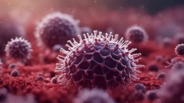 आखिर केरल में ही क्यों फैल रहा है निपाह वायरस? जानिये क्या कहते हैं एक्सपर्ट...