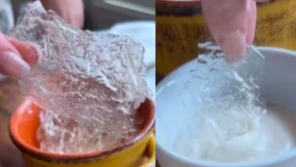 हैरतअंगेज! महिला ने बनाए अदृश्य चिप्स, वीडियो देखकर आंखों पर नहीं होगा भरोसा