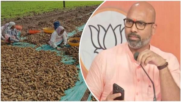 तेलंगाना में हल्दी बोर्ड स्थापित करने की तैयारी में केंद्र: अरविंद डी