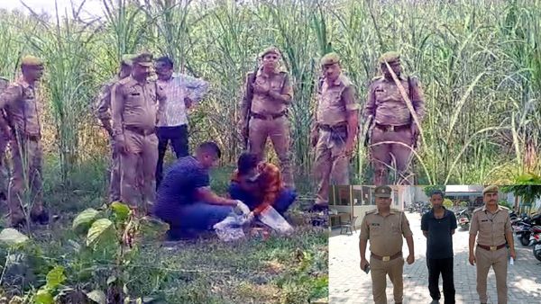 सनसनीखेज: 