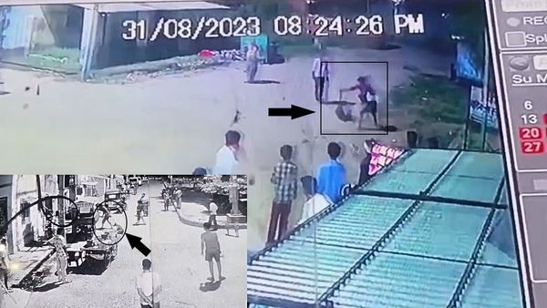 Viral CCTV Video: बेटे को काटा तो पिता ने कुत्ते को दी खौफनाक मौत, पहले पटका फिर पत्थर से कुचला