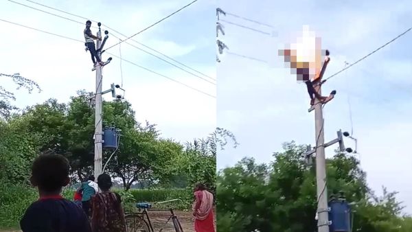विद्युत् पोल पर चढ़ा युवक झटके के साथ जलता हुआ गिरा नीचे, दिल दहला देने वाला Video हुआ Viral