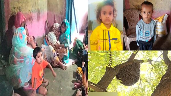 UP News: बुझ गए घर के चिराग! दादी-पोतों पर मधुमक्खियों का हमला, दोनों मासूमों की मौत