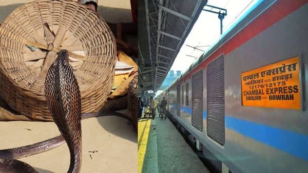 UP: ट्रेन में सपेरों की 'दादागीरी', पैसे नहीं देने पर कोच में छोड़े सांप, चंबल एक्सप्रेस में मची भगदड़