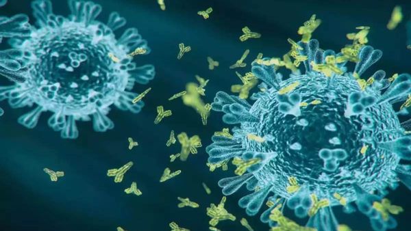 कोरोना के नए वैरिएंट Pirola ने बढ़ा दी टेंशन! कई देशों में संक्रमण का खतरा, आंकड़े बता रहे हकीकत