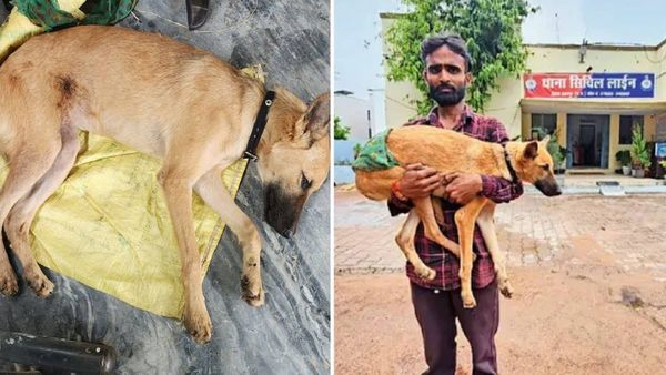 भौंकने पर कुत्ते को गोली मारी, शराब के नशे में था आरोपी, FIR