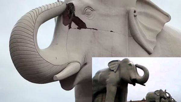 UP News: 60 लाख के हाथी पर गिरी आकाशीय बिजली, सूढ़ पूरी तरह क्षतिग्रस्त, फर्श में हुआ गड्डा