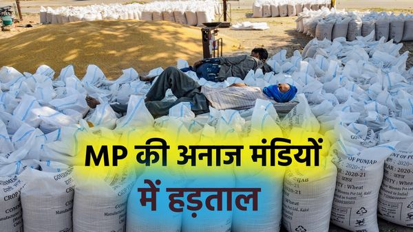 MP News: प्रदेश की अनाज मंडियों में पसरा सन्नाटा, 25 हजार व्यापारियों की हड़ताल का असर, मांगों पर सरकार गंभीर