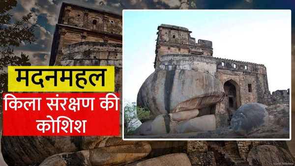 Jabalpur News: जड़ें छोड़ने लगा जबलपुर का मदन महल किला, सदियों पुरानी इस संपदा को लेकर ASI चिंतित