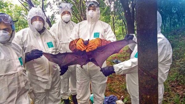 Nipah Virus: केरल में निपाह वायरस का कहर, 7 गांव कंटेनमेंट जोन घोषित, स्कूल भी किए गए बंद