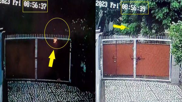 पेड़ के नीचे खड़ी महिलाओं पर बिजली गिरने का Video Viral, 1 युवती की मौत, दिल दहला देगी ये घटना