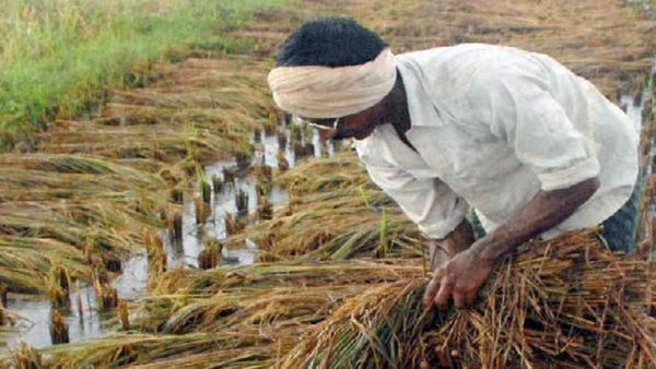 Kharif Crops: मानसून की खेती का सिमट गया दायरा