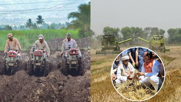 OPINION: एमपी में किसानों की तकदीर बदल रही खेतों की मशीनें, इस तरह नई क्रांति की लिखी इबारत