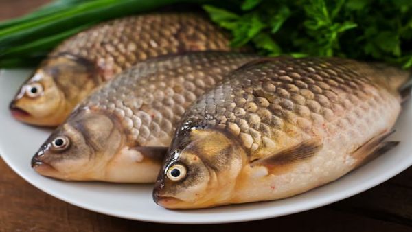 2 किलो की मछली 26 हजार में हुई नीलाम, खासियत जान खरीदारों की लगी थी लाइन