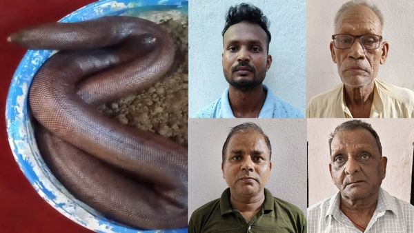Nepal के रास्ते China पहुंचाना था 1 करोड़ का सांप, गोरखपुर STF ने रास्ते में ही तस्करों को दबोचा