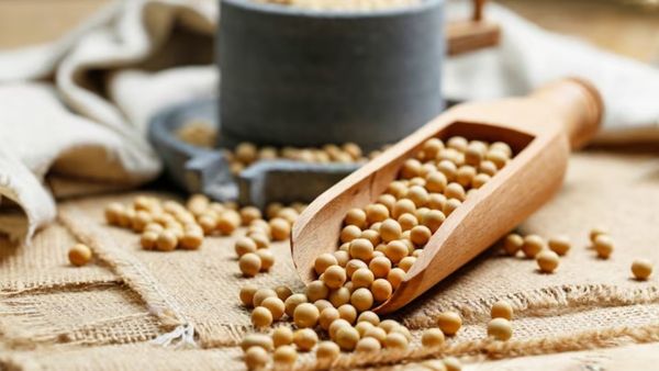 Soybean: सोयाबीन की खेती - प्रोटीन से भरपूर व किसानों के लिए लाभकारी
