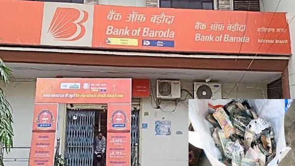 Moradabad: दीमक चट कर गई 18 लाख रुपए की नगदी, बेटी की शादी के लिए BOB के लॉकर में रखे थे पैसे