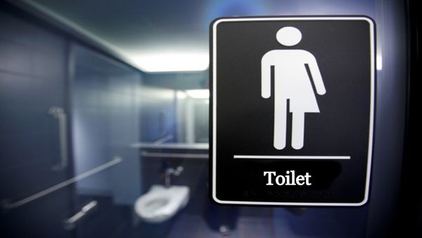 'दिल्ली में ट्रांसजेंडरों के लिए 100 से ज्यादा टॉयलेट बनाए गए', सरकार ने हाई कोर्ट को बताया