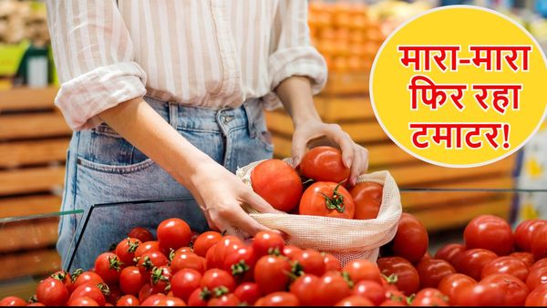 Tomato Price: यहां 3 रुपये प्रति किलो बिक रहा टमाटर, परेशान किसानों ने फसल सड़कों पर फेंकी