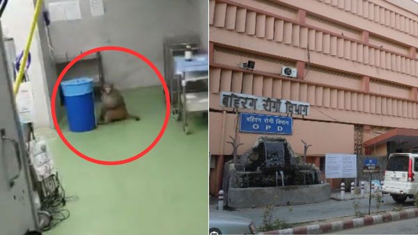 दिल्ली के मशहूर अस्पताल के ऑपरेशन थिएटर में घुसा बंदर, हॉस्पिटल में आराम से घूमता आया नजर