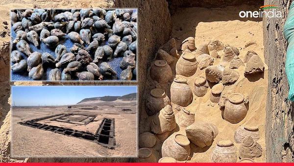 रानी की कब्र में मिली 5,000 साल पुरानी शराब, तस्वीरें देखकर आप भी पकड़ लेंगे माथा