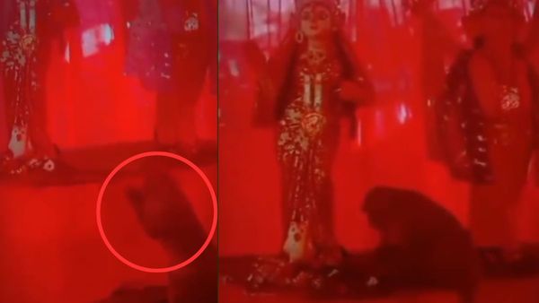 Viral Video: दुर्गा मां के दर पर पहुंचा बंदर, पहले हाथ जोड़कर किया प्रणाम और फिर....