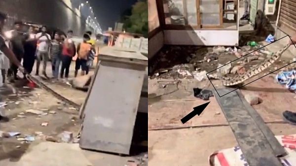 Video: फुर्सत से चल रहे थे जाम पर जाम..तभी टेबल के नीचे से निकला 12 फुट लंबा अजगर, फुर्र हो गया सारा नशा