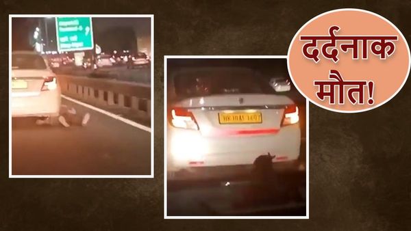 Hit And Drag Case: कैब लूटी, ड्राइवर को 200 मीटर तक घसीटा, VIDEO में कैद मौत का दर्दनाक मंजर