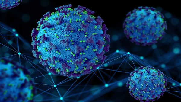 कोविड-19 से 20 गुना घातक नई बीमारी एक्स, यह चोर की तरह करेगी घुसपैठ! जानें क्या कहते हैं वैज्ञानिक