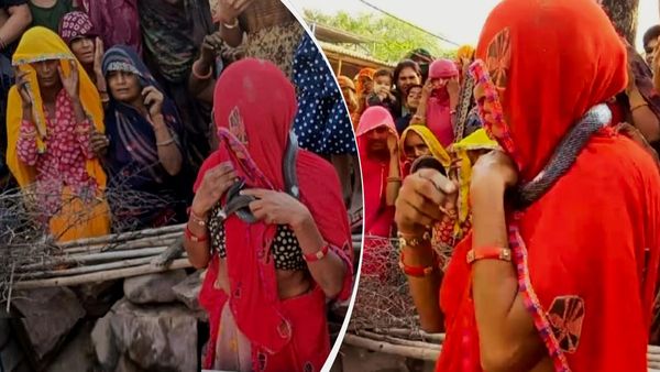 घर में घुसे कोबरा सांप को 15 साल पहले मरा बेटा माना, गले में डालकर लाड-दुलार करती रही महिला, अचानक हुई मौत