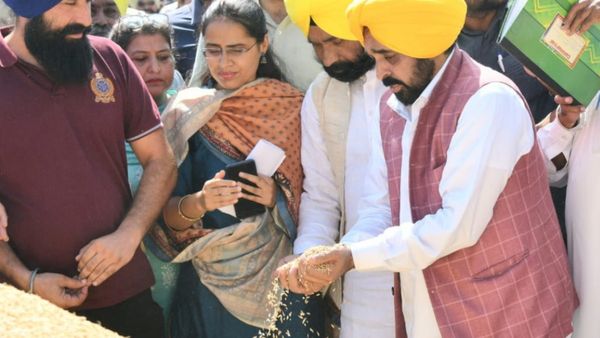 पंजाब: सीएम भगवंत मान का बड़ा फैसला, पूसा-44 किस्म की धान की फसल की बुआई पर लगाई रोक
