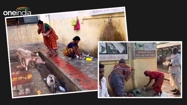 सूअरों की चहलकदमी, बदबूदार नालियां...महाराष्ट्र के सरकारी अस्पताल की भयानक तस्वीर, 48 घंटों में 31 की मौत