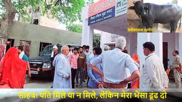 UP: 'पति मिले या न मिले, मेरा भैंसा ढूंढ दो साहब', थाने में महिला की गुहार सुनकर पुलिसकर्मी भी हैरान