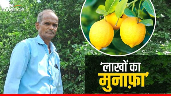 Lemon Farming: नींबू की खेती ने किसान को बना दिया लखपति, आप भी कमा सकते हैं अच्छा मुनाफा, जनिए