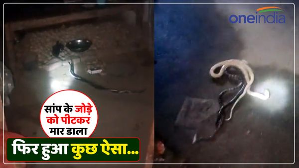 बदायूं में सांप के जोड़े को पीट-पीटकर मार डाला, पूछा- 'यहां कैसे आए?', Viral Video देख भड़के लोग, FIR दर्ज