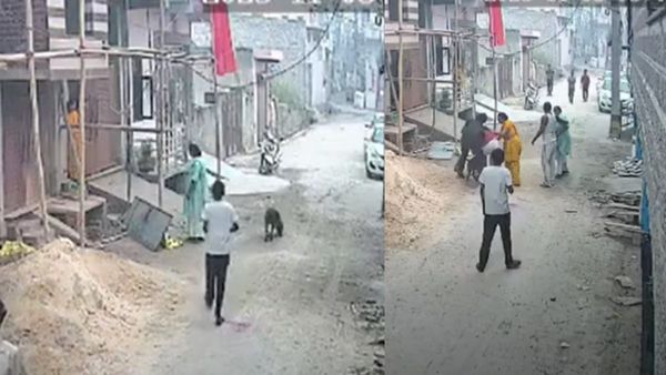 गंदगी को लेकर पड़ोसी से बहस कर रही थी महिला, तभी पिटबुल ने मारा जोरदार झपट्टा और फिर...