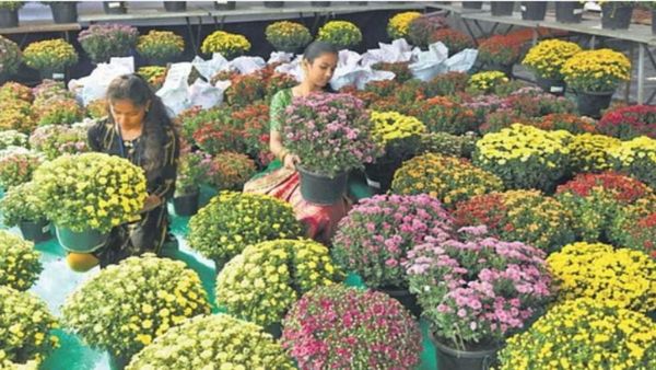 आंध्र प्रदेश: भारत-इजराइल कृषि परियोजना पलानाडु किसानों के लिए एक वरदान