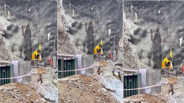 उत्तरकाशी टनल के बाहर प्रकट हुए महादेव! VIDEO देखकर लोग बोले- 'अब भोलेनाथ ही करेंगे समाधान'