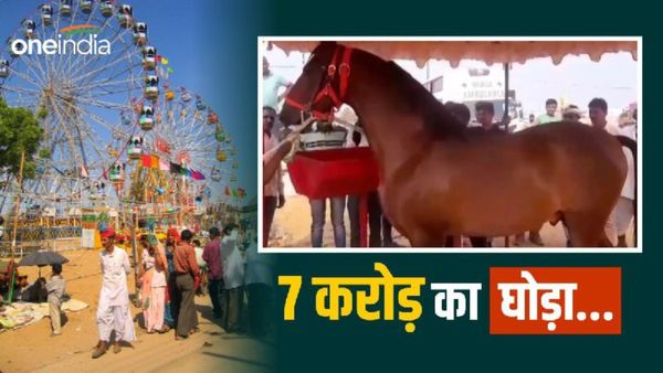Pushkar Mela: पुष्कर मेले मे आया 7 करोड़ का घोड़ा, रोज पीता है 15 लीटर दूध, जीता है लग्जरी लाइफ