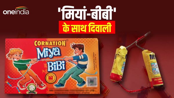 Diwali 2023 Cracerks: दीपावली पर 'मियां-बीबी' का धमाका देखकर 'अंकल-आंटी' की भी हवा खराब, रुकेगी नहीं हंसी