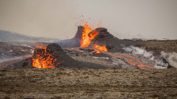 ज्वालामुखी विस्फोट की आशंका, 14 घंटे में 800 से ज्यादा भूकंप... इस देश में घोषित किया गया स्टेट ऑफ इमरजेंसी