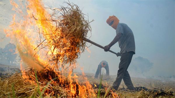 Stubble Burning: बेलगाम किसान, हलकान इंसान