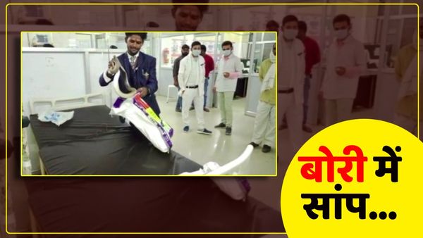 UP: 'बोरी में था जहरीला सांप...', डॉक्टर ने पूछा ये क्या है? युवक ने खोल दिया बोरी, अस्पताल में मची अफरा-तफरी