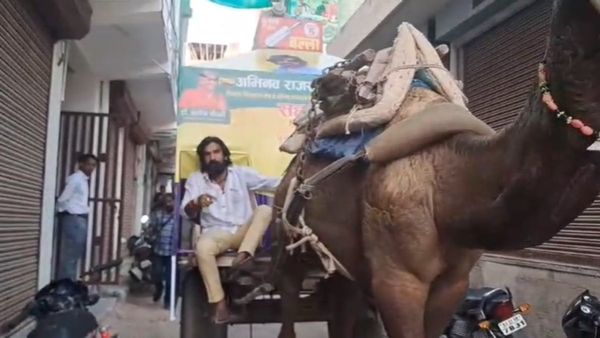 राजस्थान चुनाव में अनोखा प्रचार, ऊंटगाड़ी पर सवार प्रत्याशी, अकेले मांग रहे वोट