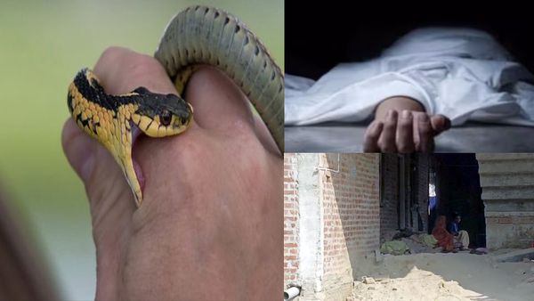 7 दिन से बेटे के शव को लेकर बैठा परिवार, सपेरे ने कहा- 